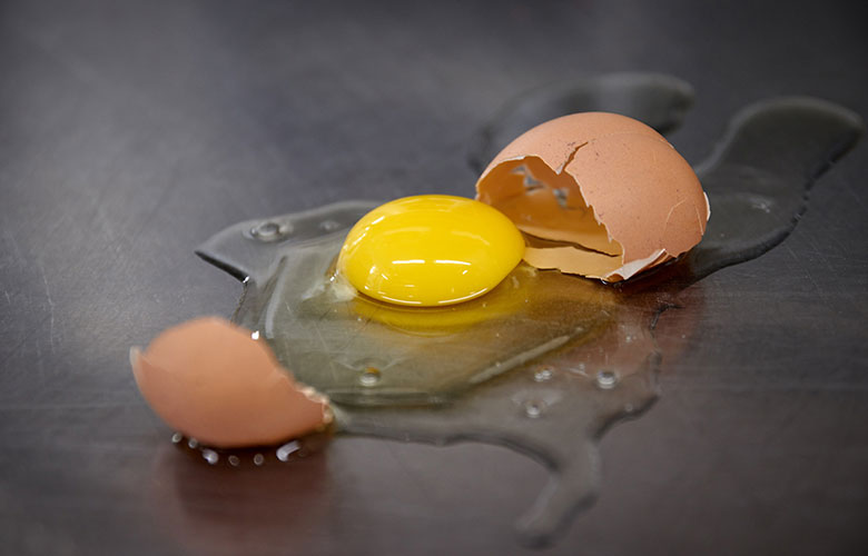 Food Safety | Great Food Solutions